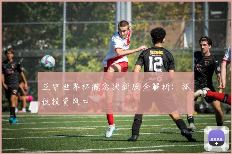 正宗世界杯概念次新股全解析：抓住投资风口