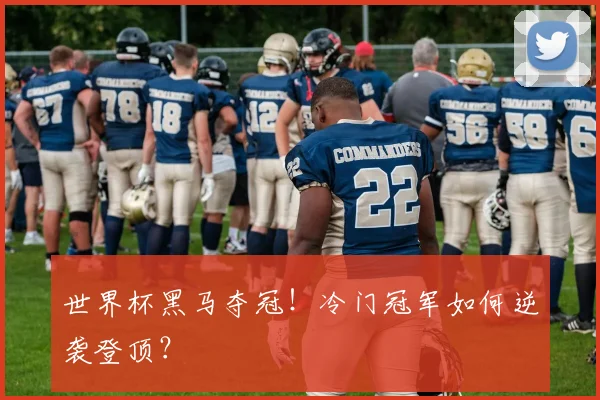 世界杯黑马夺冠！冷门冠军如何逆袭登顶？