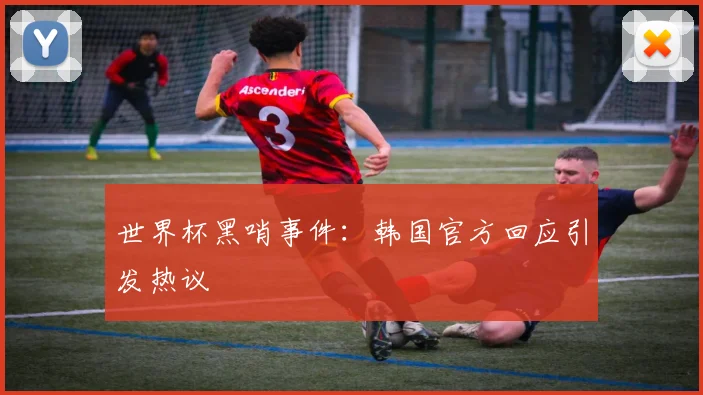 世界杯黑哨事件：韩国官方回应引发热议