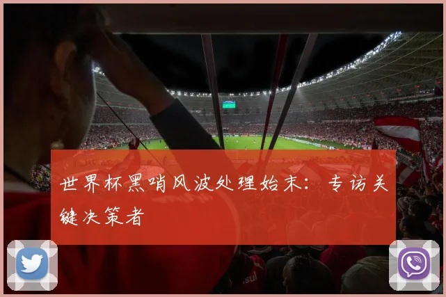 世界杯黑哨风波处理始末：专访关键决策者