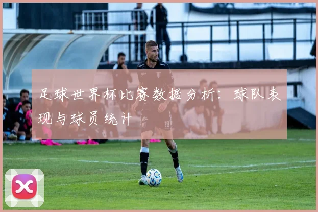 足球世界杯比赛数据分析：球队表现与球员统计