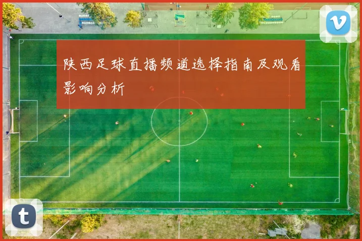 陕西足球直播频道选择指南及观看影响分析