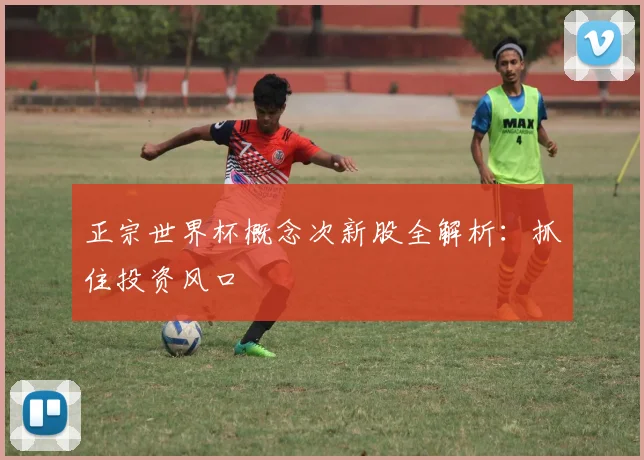 正宗世界杯概念次新股全解析:抓住投资风口